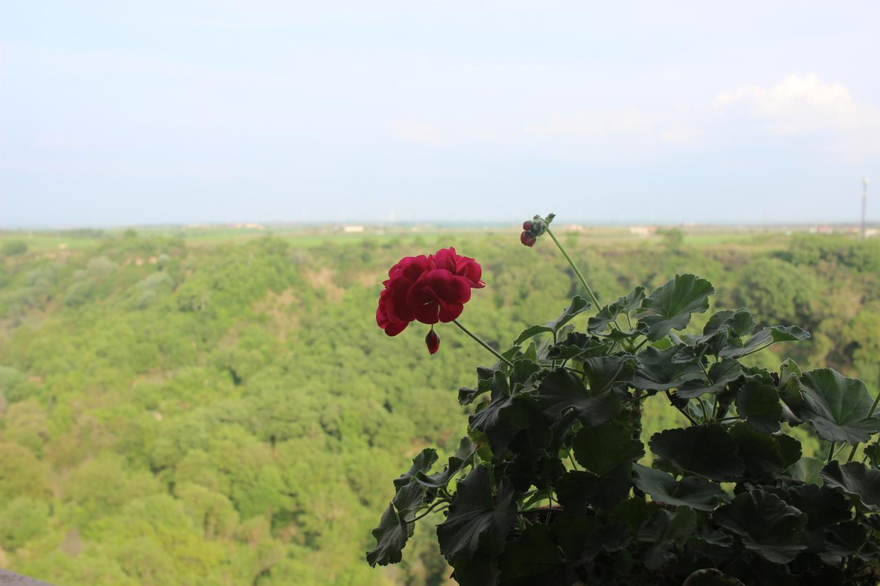 Hotel Orazio Venosa Dış mekan fotoğraf